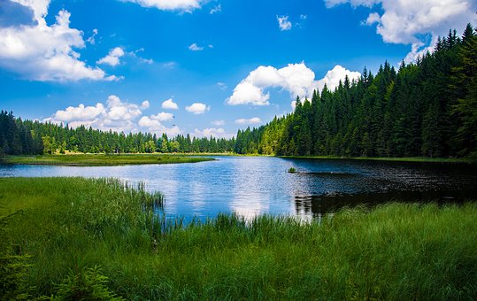 Die fünf magischsten Reiseziele Deutschlands für Motorradfahrer 3 bavarian forest 1855992 340 | Rabatt-Coupon.com | Überall sparen mit Gutscheinen