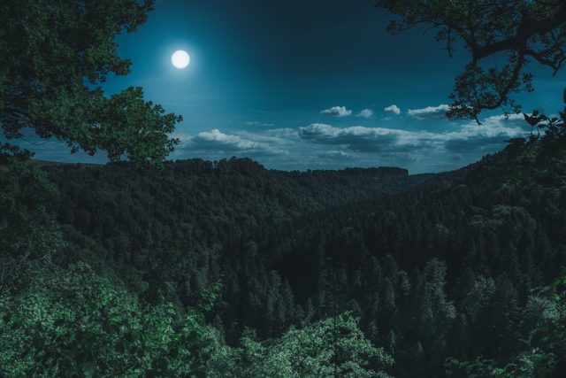 Die fünf magischsten Reiseziele Deutschlands für Motorradfahrer 7 nature 3194001 960 720 e1551363169681 | Rabatt-Coupon.com | Überall sparen mit Gutscheinen