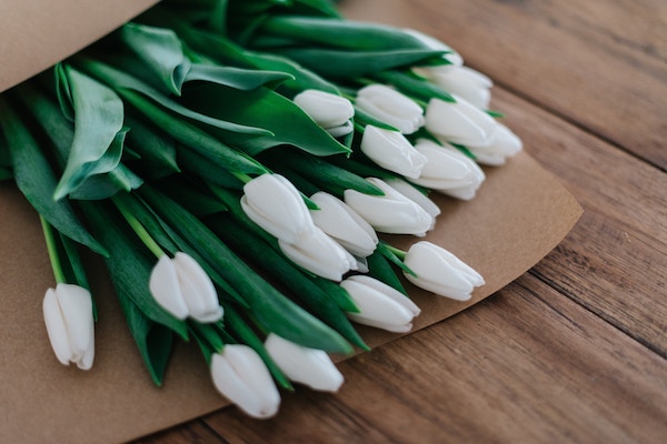 Frische, weiße Tulpen | Euroflorist Gutschein