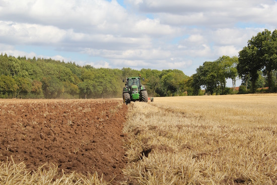 Konventionelle und ökologische Landwirtschaft | Gourmondo Gutschein