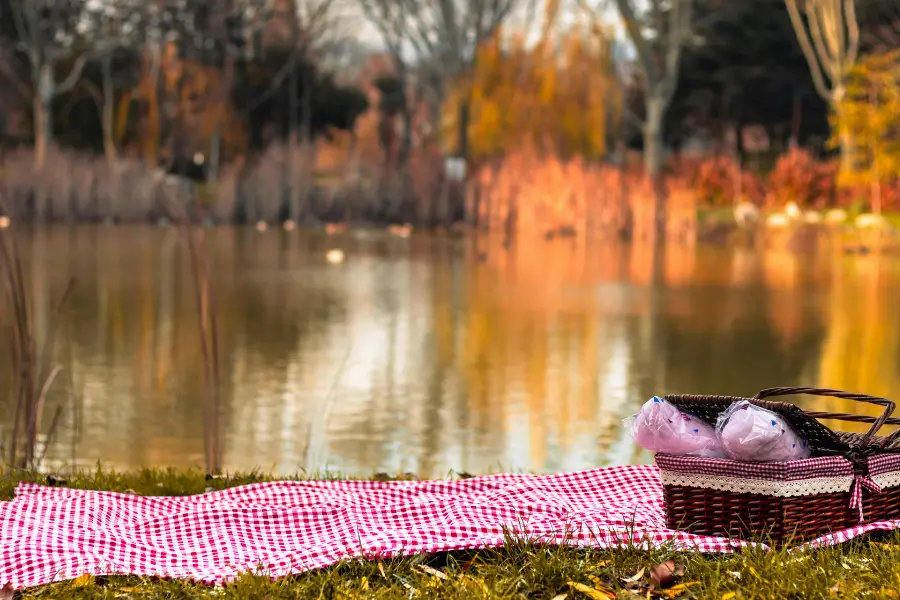 Rabatte Coupons Picknickdecke mit Korb am Seeufer in herbstlicher Landschaft mit warmen Farben