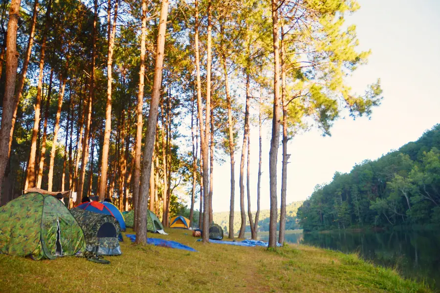 Mücken im Sommer - so schützt ihr euch richtig 25 Mehrere Zelte in einem Wald am Ufer eines Sees bei Sonnenuntergang – typisches Camping-Setting mit hoher Relevanz für Mückenschutz im Freien.