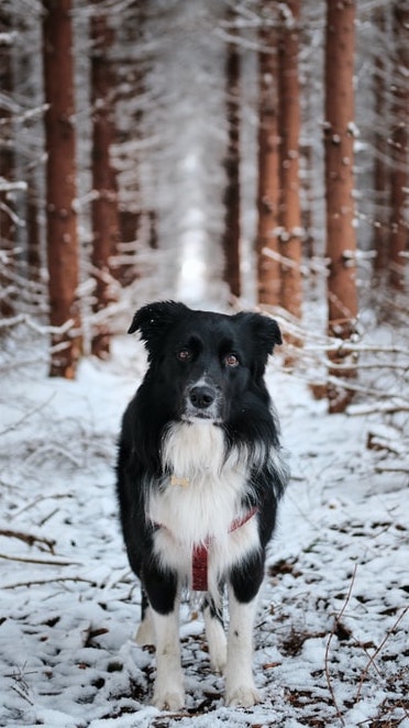 tadeusz lakota zRbCBRyxeVY unsplash | Rabatt-Coupon.com | Überall sparen mit Gutscheinen
