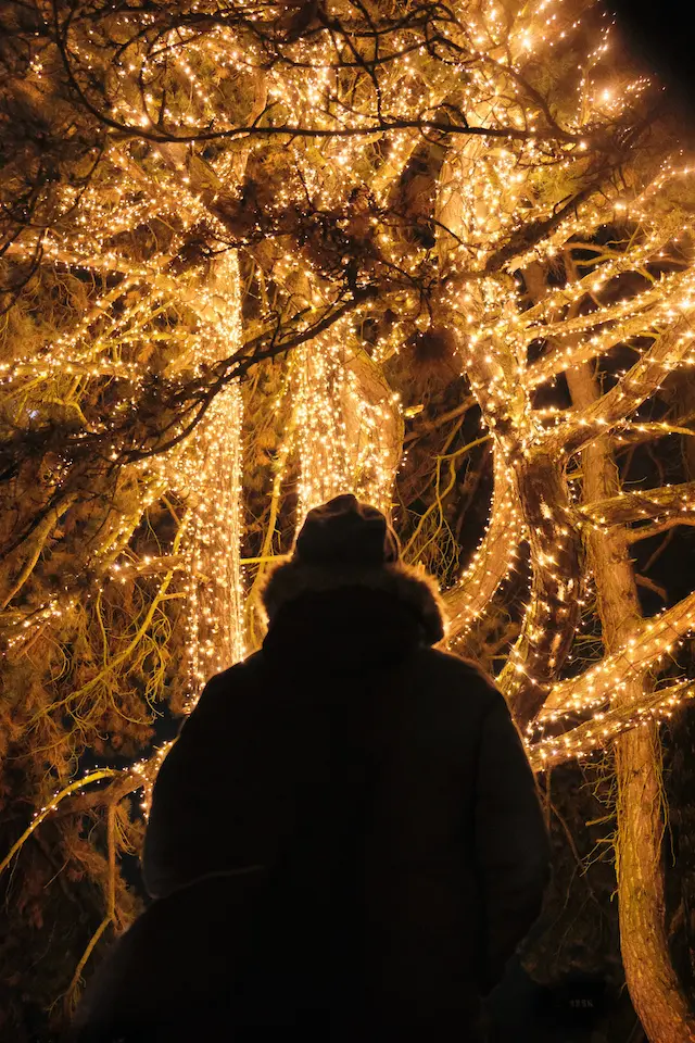 FeelGood-Shop.com spendet euch Wohlfühlerlebnisse. Perfekt für eine stressfreie Weihnachtszeit. Lichter | Rabatt-Coupon.com | Überall sparen mit Gutscheinen