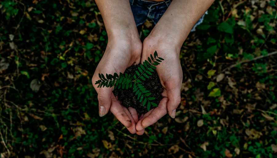 Spart mit dem Vivara Gutschein und holt Euch die Naturschutzprodukte nach Hause. Vorbilder 2020 | www.rabatt-coupon.com
