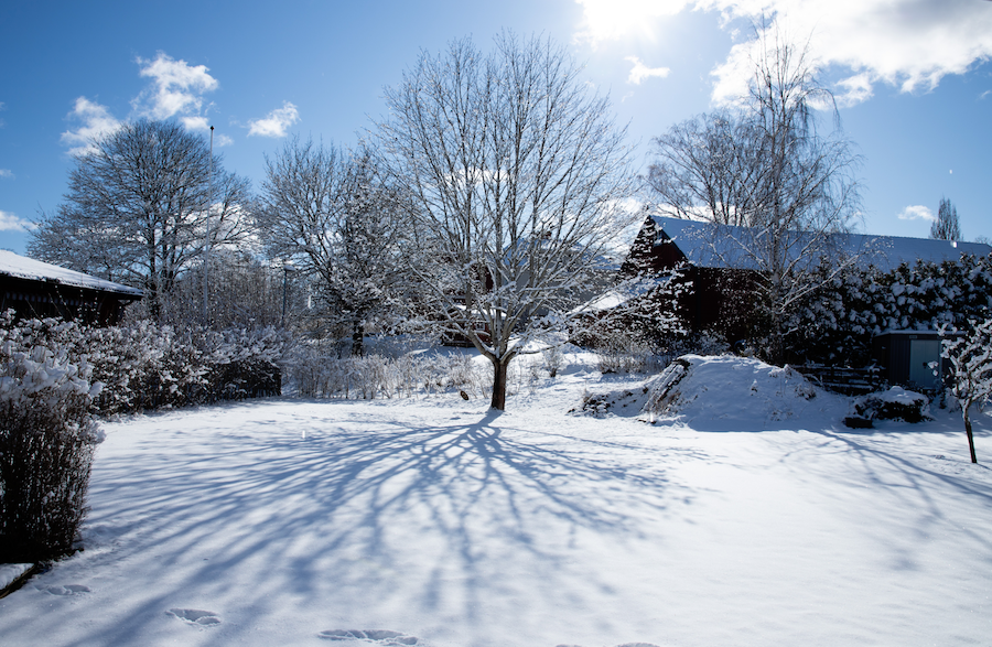 Garten im Winter | www.rabatt-coupon.com