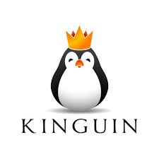  zum Kinguin                 Onlineshop