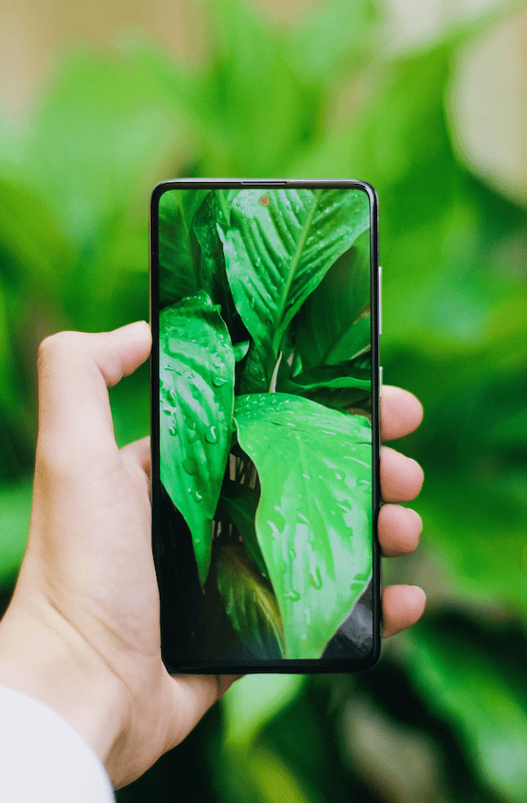 Fairphone kaufen | Fairphone im Vergleich | www.rabatt-coupon.com