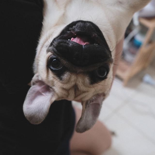 james tiono tnqOVFEskW8 unsplash | Rabatt-Coupon.com | Überall sparen mit Gutscheinen