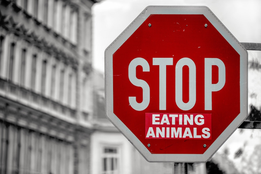 Mit einem Coffee Friend Gutschein Kaffee günstiger trinken - auch beim vegan leben. Stop Schild mit der Aufschrift: STOP EATING ANIMALS