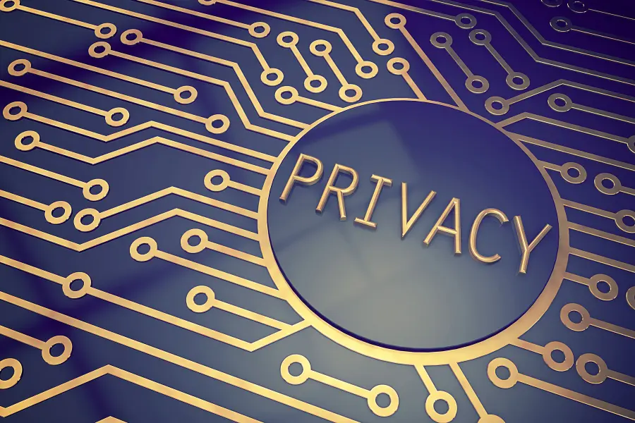 Digital privacy concept with the word privacy in the center of a circuit board pattern.