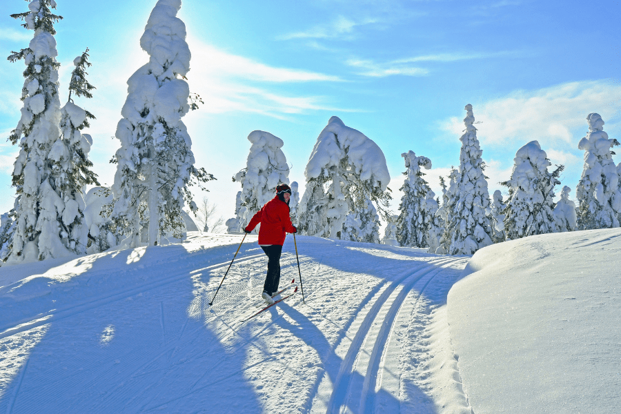 Winter Wonderland | Wintersport | The North Face | Rabattcoupon