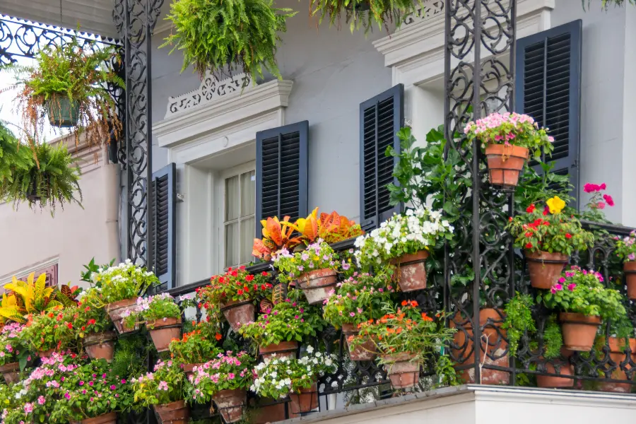 Blumengeschmückter Balkon mit zahlreichen bunten Pflanzen in Terrakotta-Töpfen, schwarzen Fensterläden und dekorativem Metallgeländer.