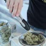 Cannabis-Legalisierung 2023 – Dann Bubatz legal! ????