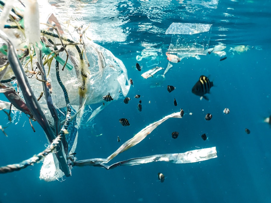 Plastik im Meer | Plastikmüll