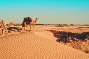 Urlaub in Tunesien | arabische Kultur | www.rabatt-coupon.com