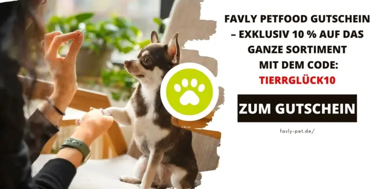 Kleiner Hund bekommt ein Leckerli von einer Person – Werbebild für einen Favly Petfood Gutschein mit Code TIERRGLÜCK10.