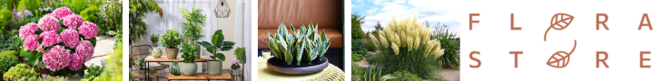 Florastore Rabatt-Coupon – exklusive Rabatte + weitere Vorteile sichern🐼 1 Florastore Banner | Rabatt-Coupon.com | Überall sparen mit Gutscheinen
