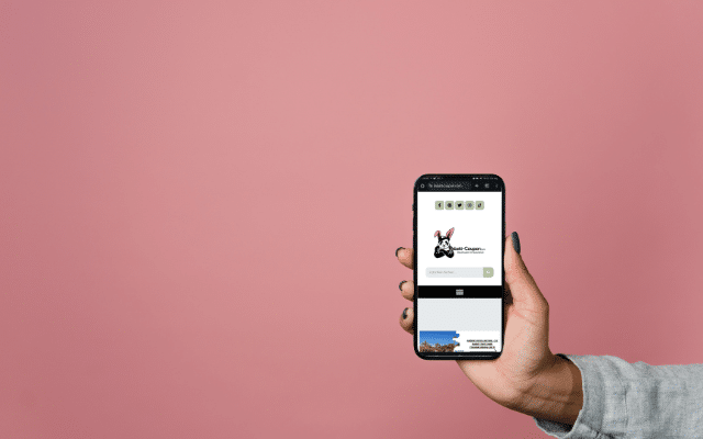 App Must-Haves: Wichtige Apps aus 5 Kategorien 10 Smartphone Rabatt-Coupon.com