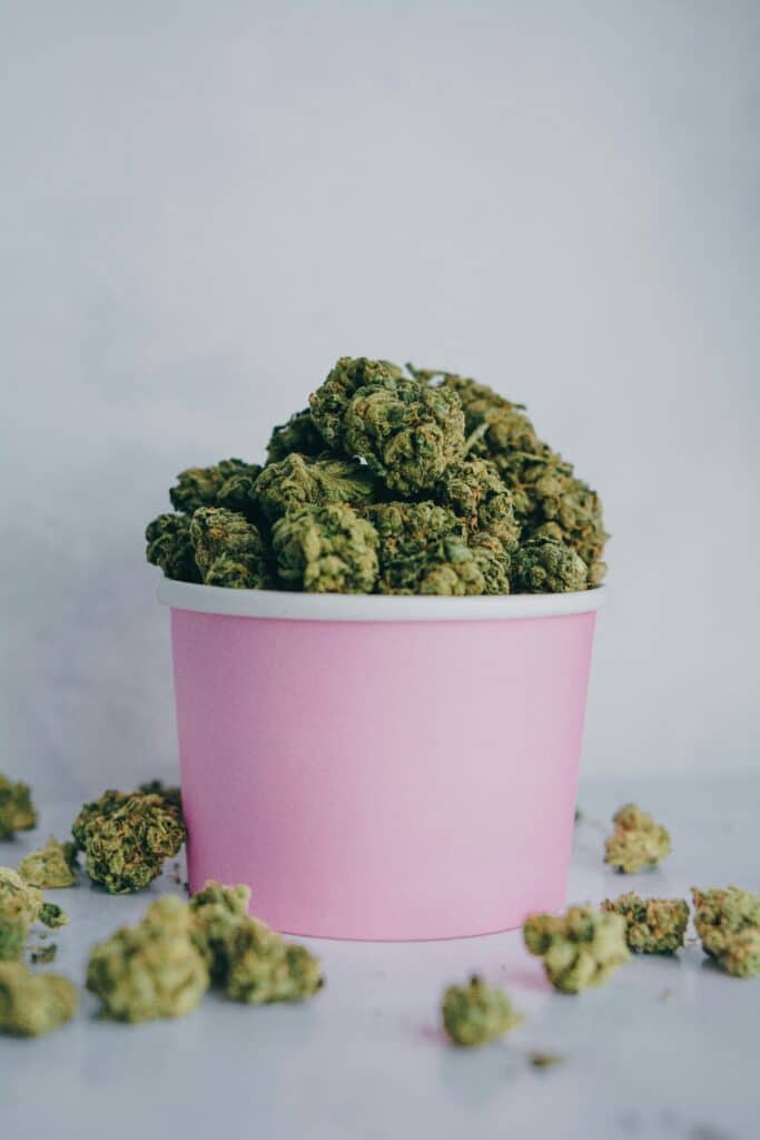 CBD und THC: Wichtige Unterschiede und 10 CBD-Anwendungsbereiche 2 CBD Cannabis