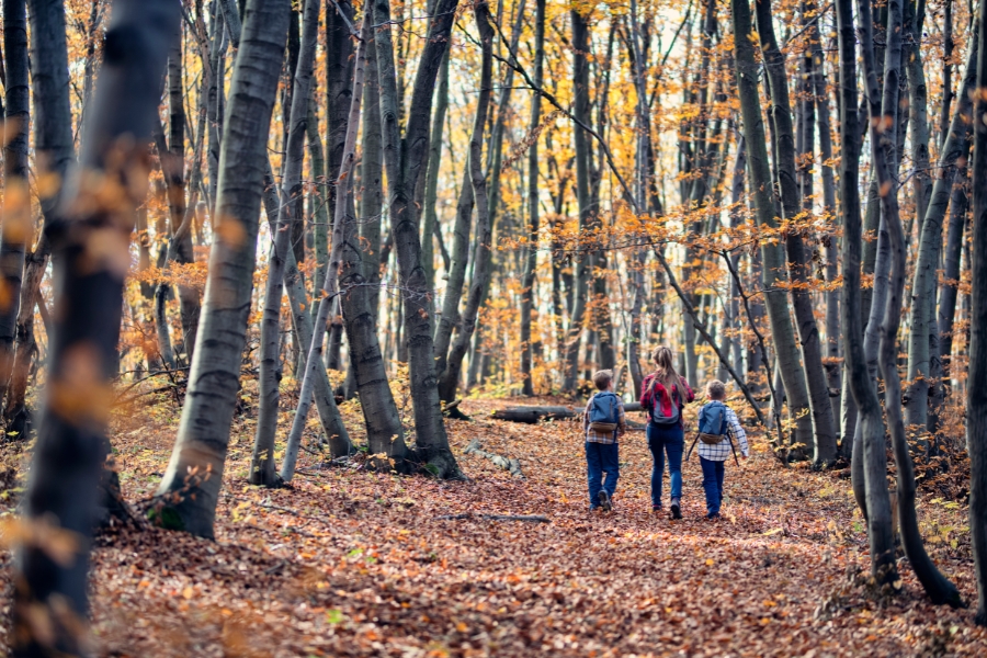 Trendy Panda 1 zu dritt im Wald im Herbst, zwei Kinder spazieren auf Laub