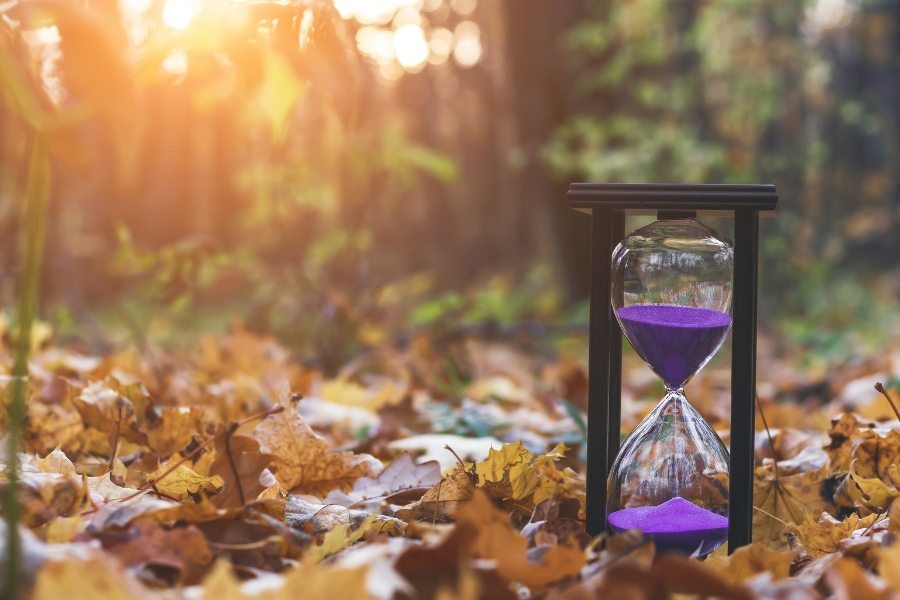 Philosophieren an Weihnachten - Besinnlichkeit am Jahresende 🎄🤔 9 im Herbst am Waldrand steht eine Sanduhr mit lila Sand, der Sand ist halb abgelaufen, im Hintergrund sieht man die Sonne untergehen