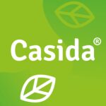 Casida