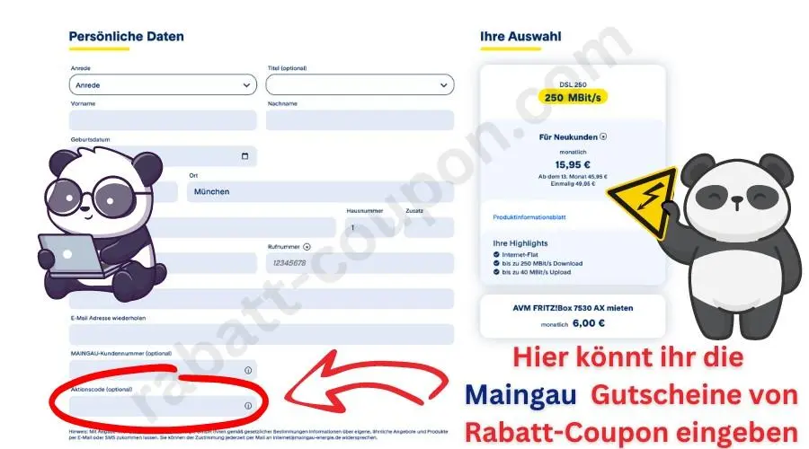 MAINGAU Aktionscode im Bestellprozess mit markiertem Eingabefeld für Gutscheine
