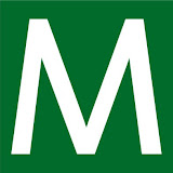 Maxifleur Kunstpflanzen